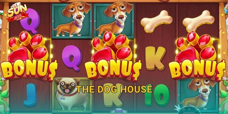 The Dog House Sunwin – Ngôi Nhà Cún Cưng Chứa Đầy Kho Báu Bất Ngờ 28 The Dog House Sunwin – Ngôi Nhà Cún Cưng Chứa Đầy Kho Báu Bất Ngờ
