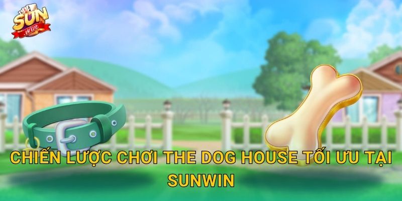 The Dog House Sunwin – Ngôi Nhà Cún Cưng Chứa Đầy Kho Báu Bất Ngờ 3 Chiến Lược Chơi The Dog House Tối Ưu Tại Sunwin